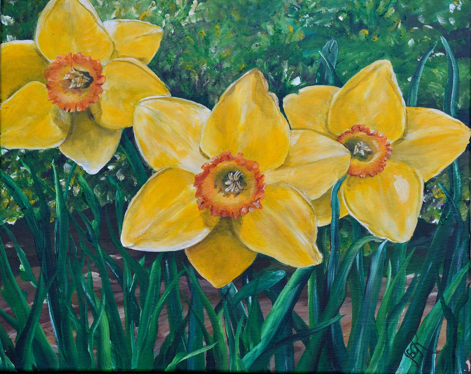Daffodils at Home
