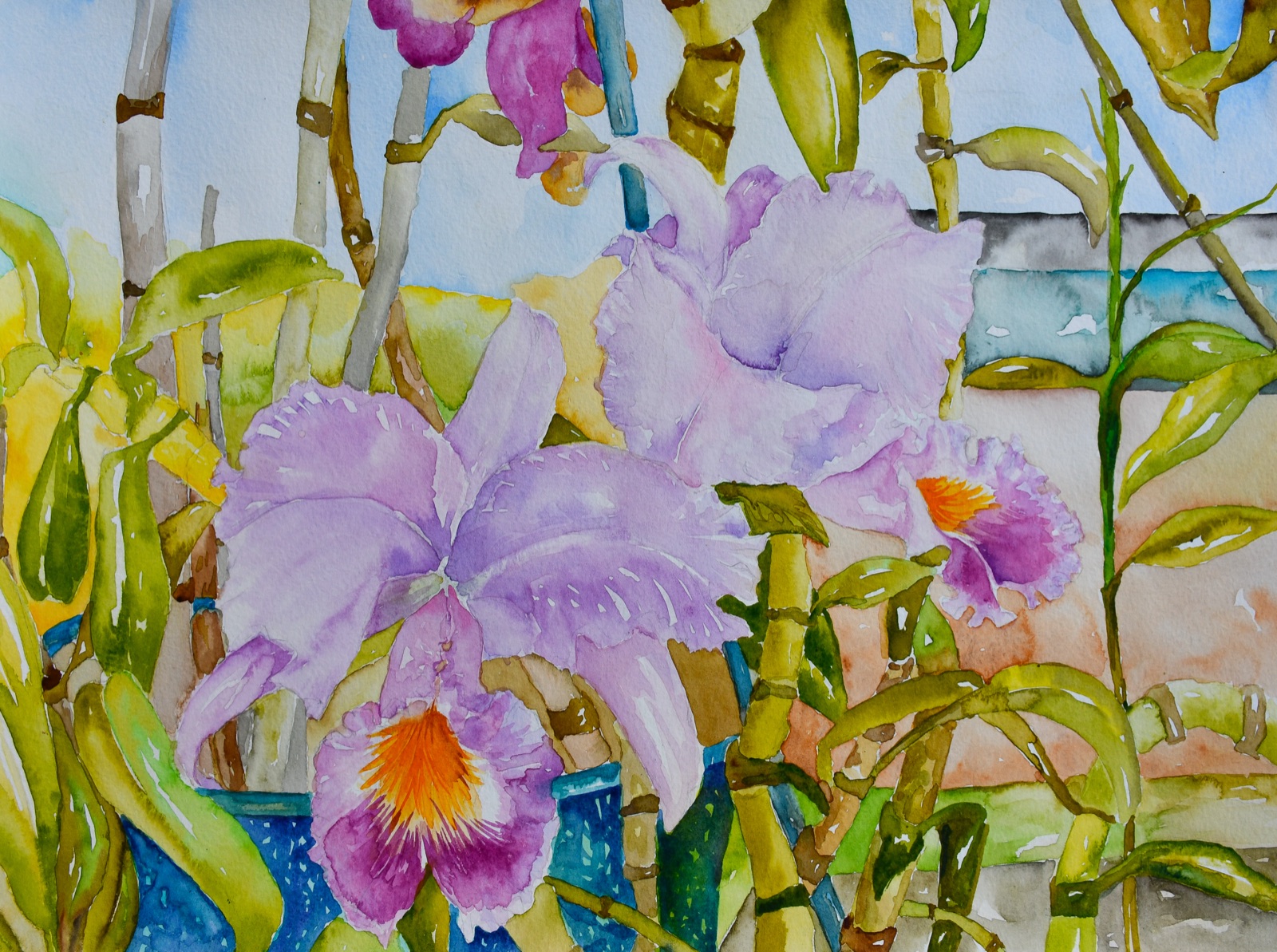 Orchids of Jamaica