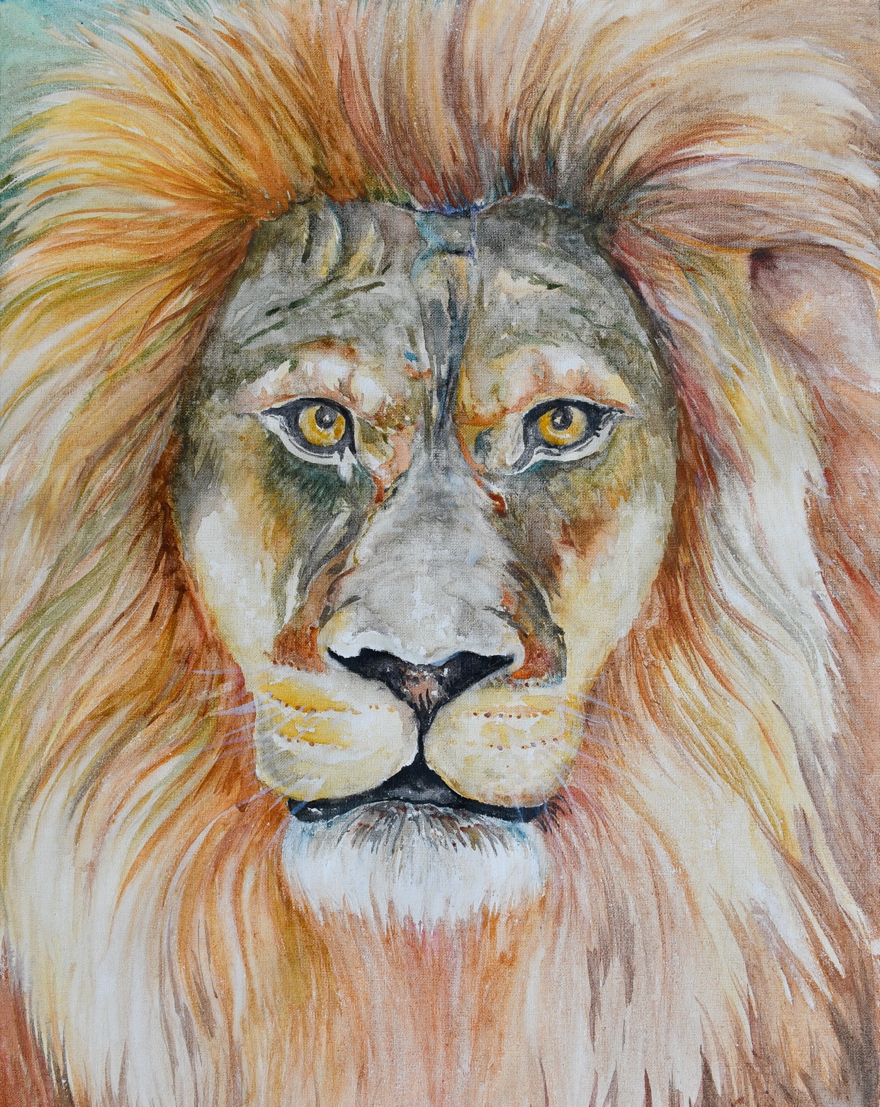 Panthera leo